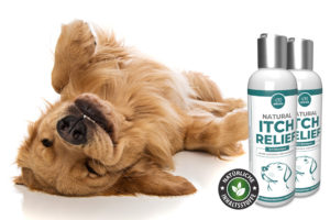 Natural Itch Relief